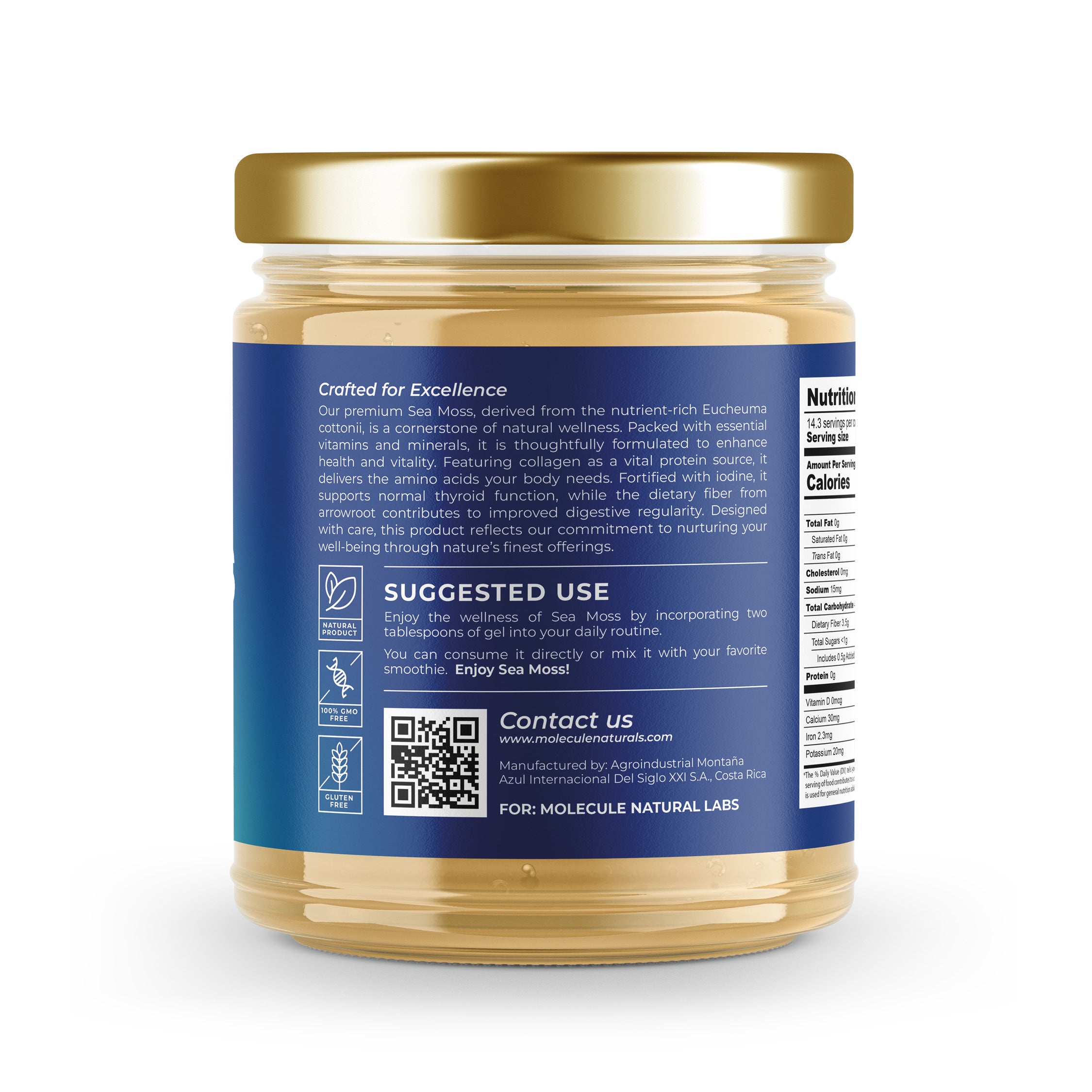 Gold Sea Moss Gel | 16 oz