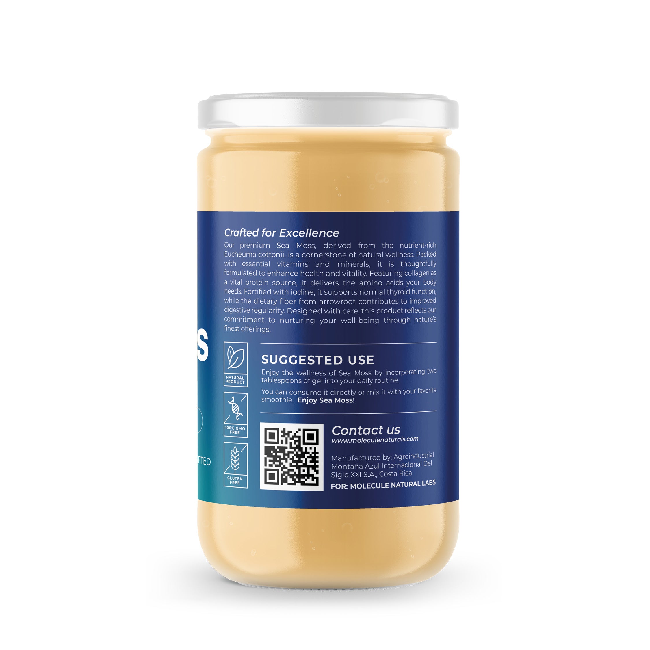 Gold Sea Moss Gel | 8 oz