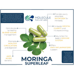 Organic Moringa Capsules